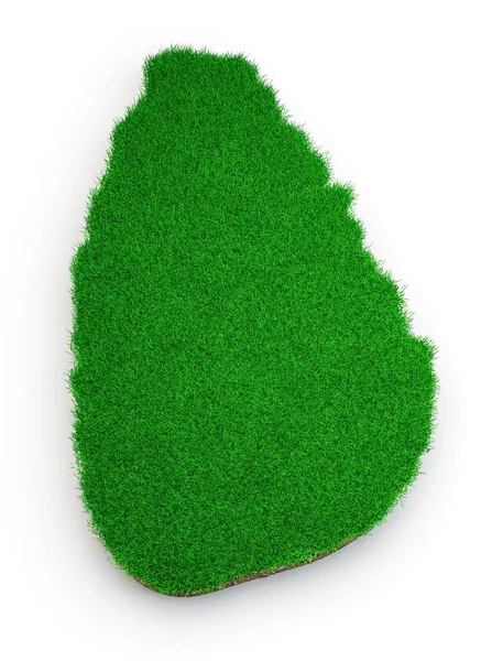 Zelená Tráva Izolované Bílém Pozadí — Stock fotografie