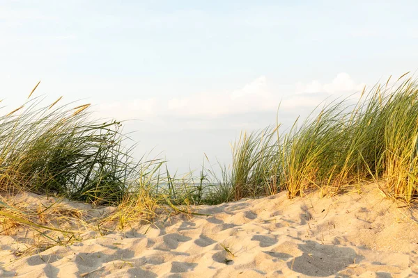 Піщаний Пляж Дюнами Піском Морем — стокове фото