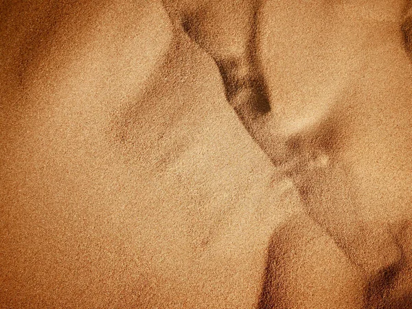 Homok Dűnék Strand Homokos Sivatag Természet Textúra Elvont Háttér — Stock Fotó
