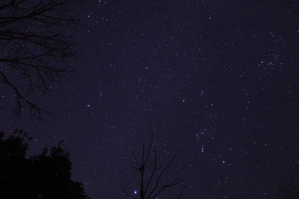 Nachtelijke Hemel Met Sterren Melkweg — Stockfoto