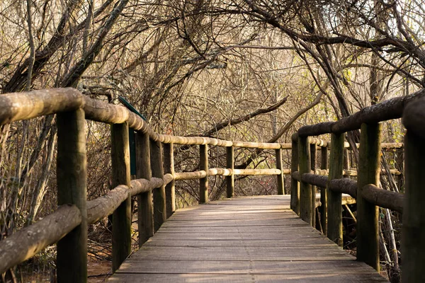 Ponte Legno Sul Fiume Nel Parco — Foto Stock