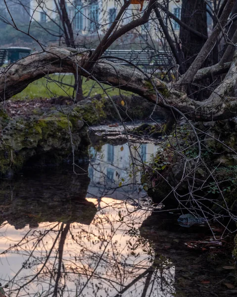 Vacker Utsikt Över Floden Skogen — Stockfoto