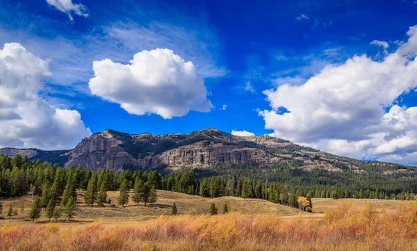 Prachtig Landschap Met Een Berg Achtergrond — Stockfoto