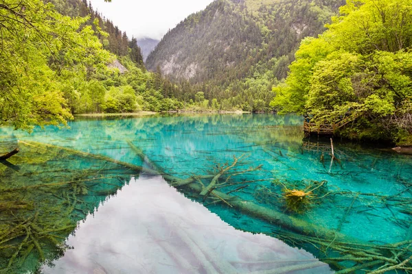 山の中の湖の眺め — ストック写真