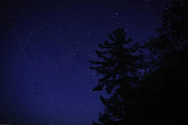 Céu Noturno Com Estrelas Forma Leitosa — Fotografia de Stock