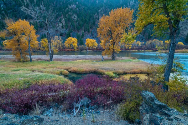木々や森に囲まれた秋の風景 — ストック写真