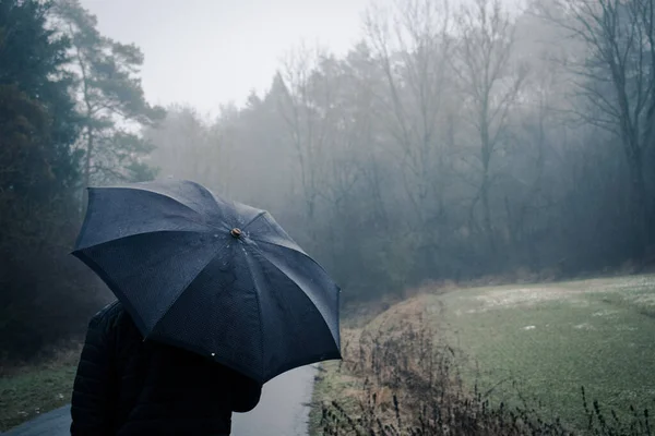 雨伞在室外 — 图库照片