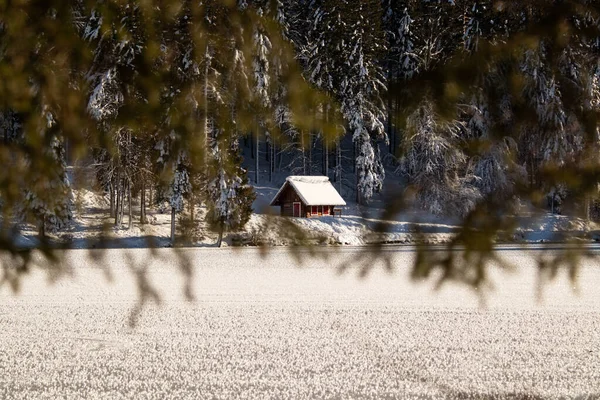 雪に覆われた木々が美しい冬の風景 — ストック写真