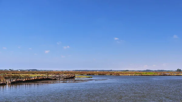 Piękny Krajobraz Jeziorem Rzeką — Zdjęcie stockowe