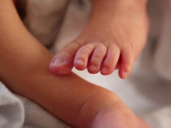 Close Baby Feet — Stock Photo, Image
