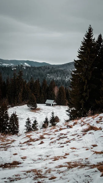 Vackert Landskap Med Snötäckta Träd Fjällen — Stockfoto