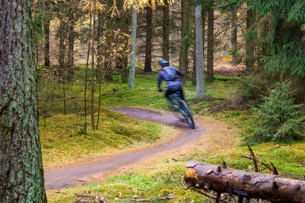 Mann Mit Fahrrad Wald Unterwegs — Stockfoto