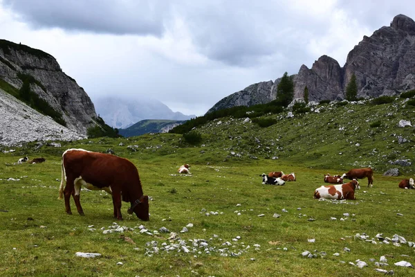 Krásný Výhled Horskou Krajinu — Stock fotografie