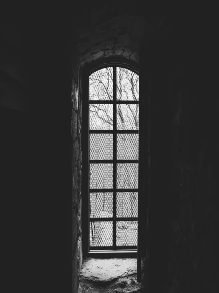 Черно Белое Фото Деревянного Дома — стоковое фото