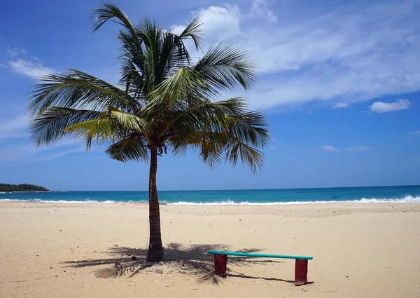 Schöner Strand Mit Palme Und Blauem Himmel — Stockfoto