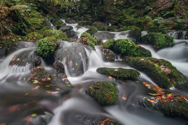 Belle Cascade Dans Forêt — Photo