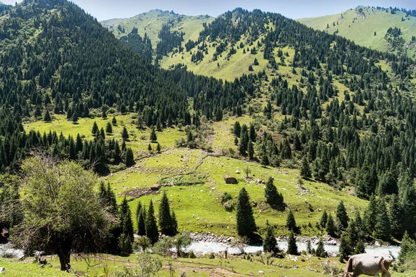 Όμορφο Τοπίο Βουνά Και Πράσινο Γρασίδι — Φωτογραφία Αρχείου