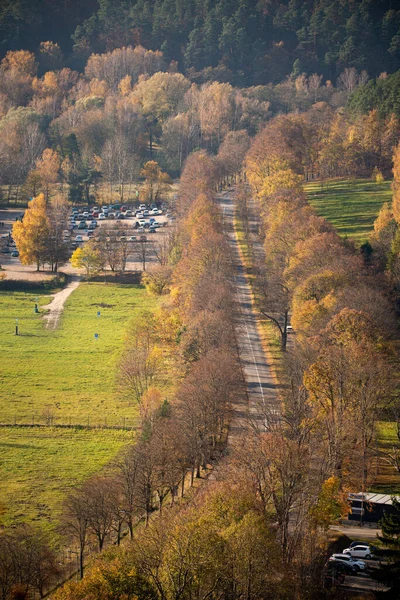 Красивий Осінній Пейзаж Деревами Лісом — стокове фото