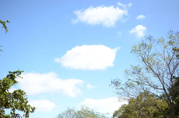Gyönyörű Kék Felhőkkel — Stock Fotó