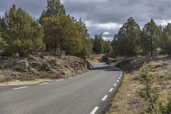 Una Hermosa Toma Camino Montaña Árboles Verdes — Foto de Stock