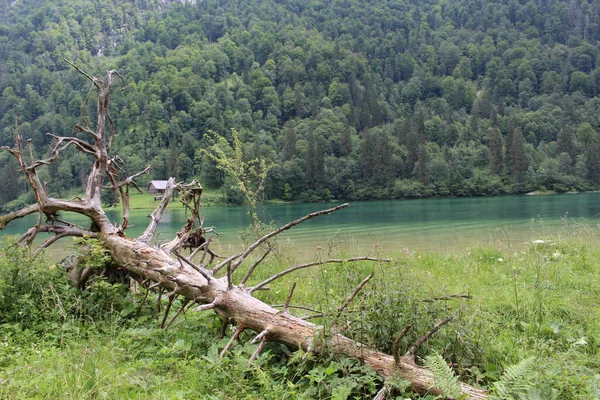 川や湖のある美しい風景 — ストック写真