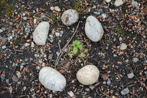 Крупным Планом Мелких Камней — стоковое фото