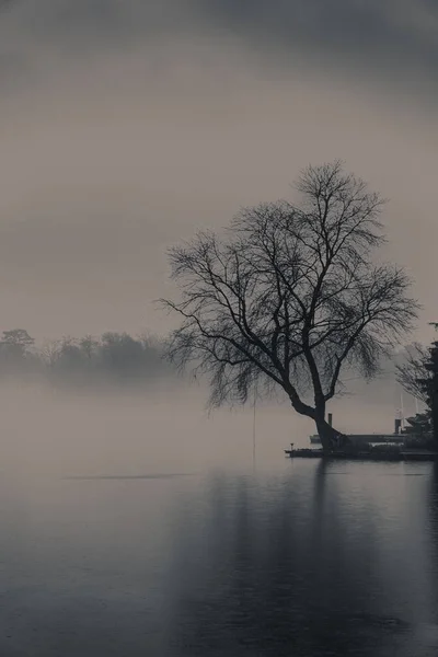 Ağacı Gölü Olan Güzel Bir Manzara — Stok fotoğraf