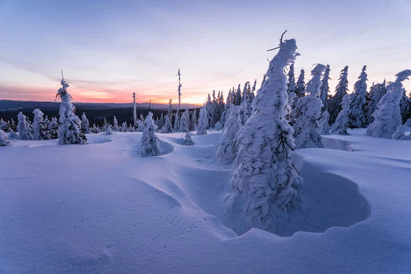 Prachtig Winterlandschap Met Besneeuwde Bomen — Stockfoto