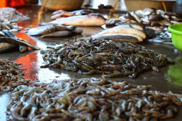 Sokak Yemeklerinde Taze Deniz Ürünleri Pazarı — Stok fotoğraf