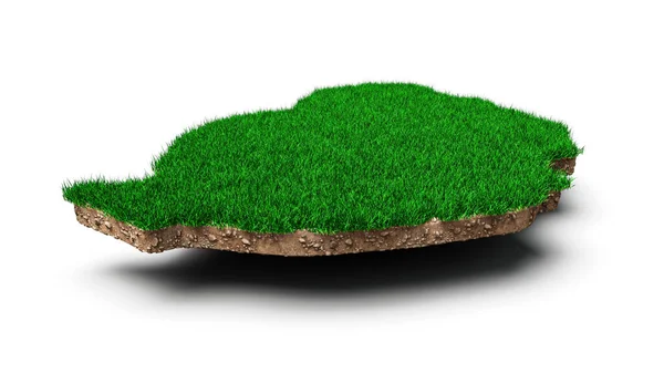 Green Grass Изолированы Белом Фоне Рендеринг — стоковое фото