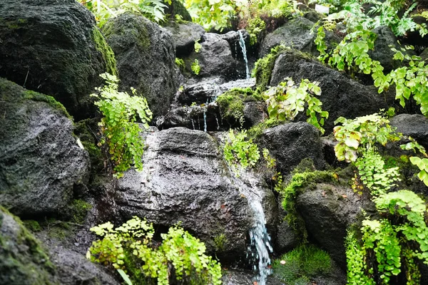 Vacker Utsikt Över Naturen — Stockfoto