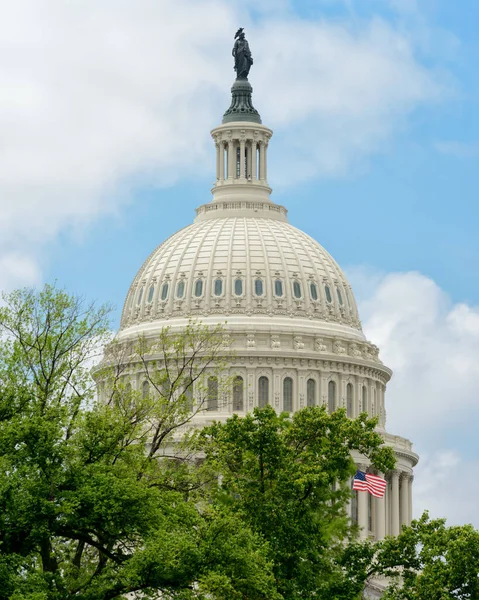 Washington Eua Julho 2019 Capitol Building United States America — Fotografia de Stock
