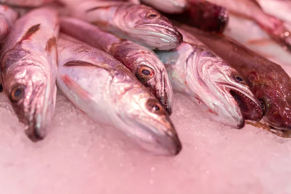 Peixe Fresco Mercado — Fotografia de Stock