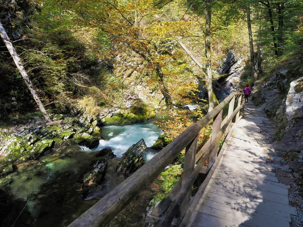 Prachtige Waterval Het Bos — Stockfoto