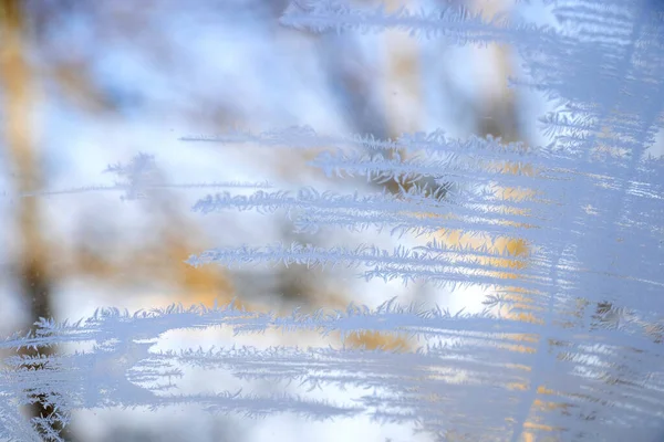 有霜冻窗的冬季景观 — 图库照片