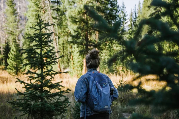Young Man Backpack Walking Forest — Stock Photo, Image
