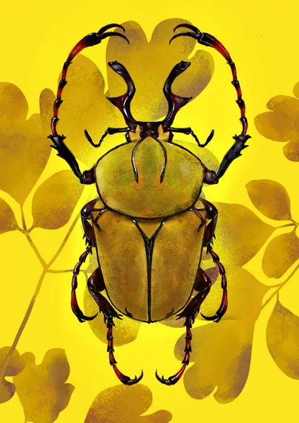 Illustratie Van Insect Insect — Stockfoto