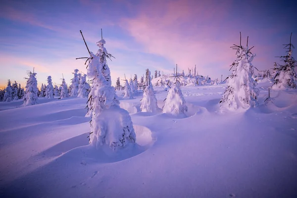 Όμορφο Τοπίο Χιονισμένα Δέντρα — Φωτογραφία Αρχείου