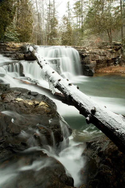 Cascada Bosque —  Fotos de Stock