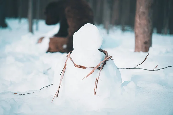 Man Hat Walking Snow — Stock Photo, Image