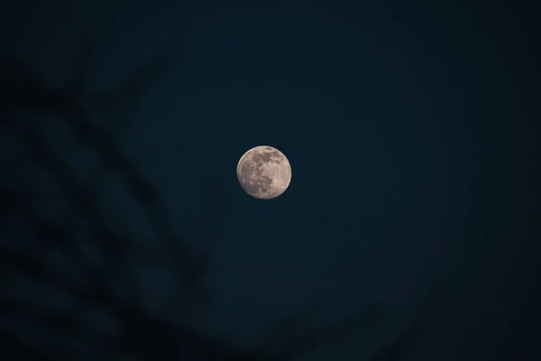 Księżyc Nocnym Niebie — Zdjęcie stockowe