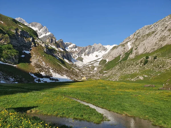 Pemandangan Indah Dengan Gunung Gunung Dan Rumput Hijau — Stok Foto
