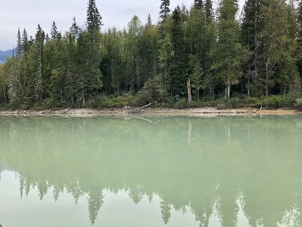 湖と森の美しい風景 — ストック写真
