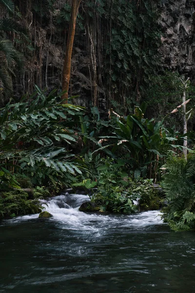 Beautiful Waterfall Forest — Stock Photo, Image