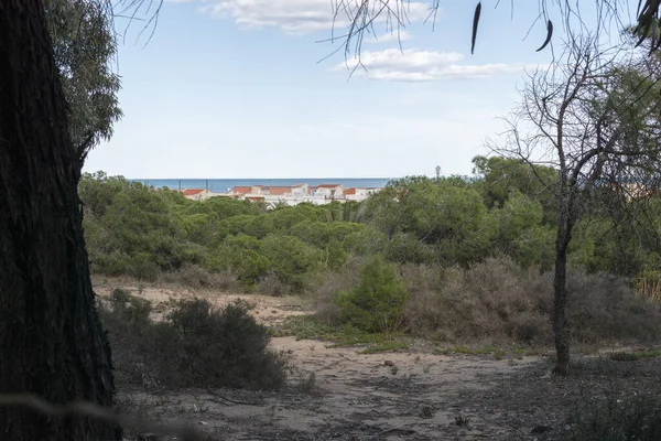 Schöne Aussicht Auf Die Natur — Stockfoto