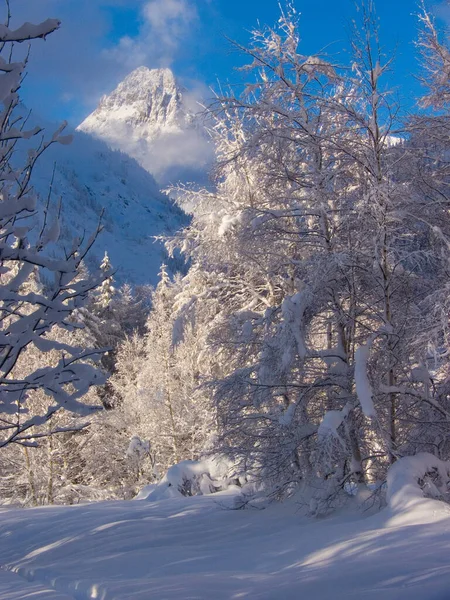 Bela Paisagem Inverno Com Árvores Cobertas Neve — Fotografia de Stock