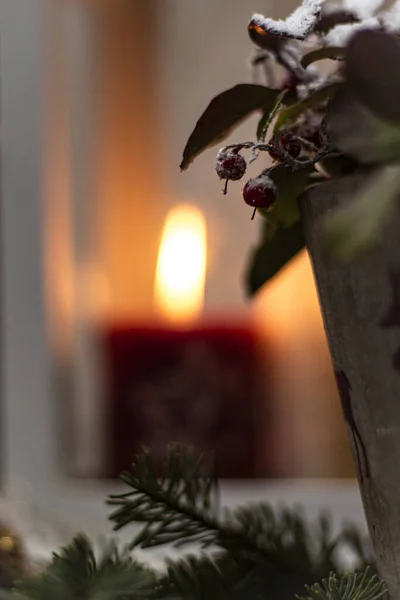 花やモミの枝でクリスマスの装飾 — ストック写真