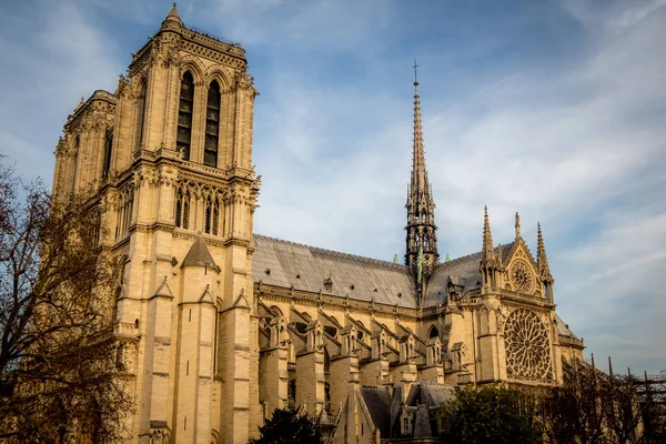 Notre Dame Cattedrale Parigi Francia — Foto Stock