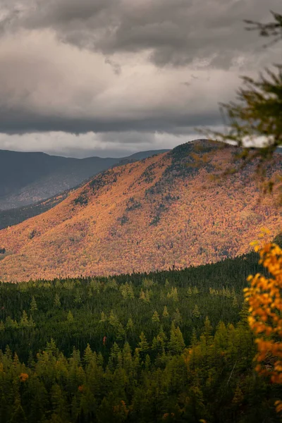 Outono Paisagem Com Árvores Montanhas — Fotografia de Stock