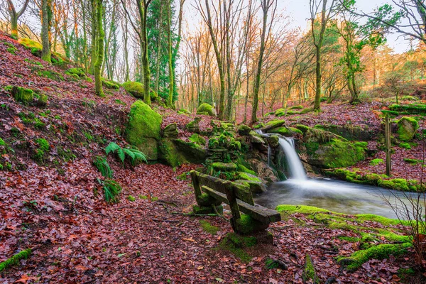 Hermoso Bosque Otoño Con Una Cascada Fondo — Foto de Stock